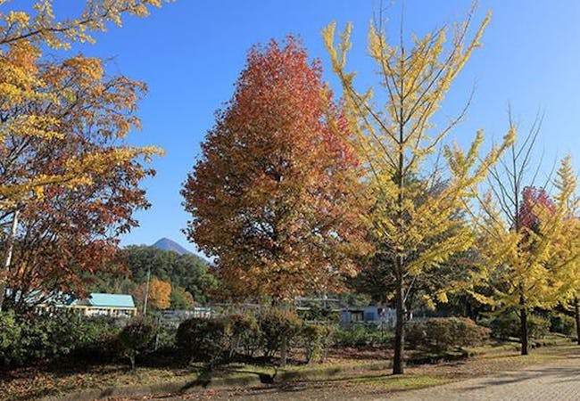 埼玉紅葉21 埼玉 秋の風物詩 紅葉を愉しむ 紅葉おすすめ人気スポット14選 一休 Comレストラン 埼玉紅葉21 埼玉 秋の風物詩 紅葉を愉しむ 紅葉おすすめ人気スポット14選 一休 Comレストラン