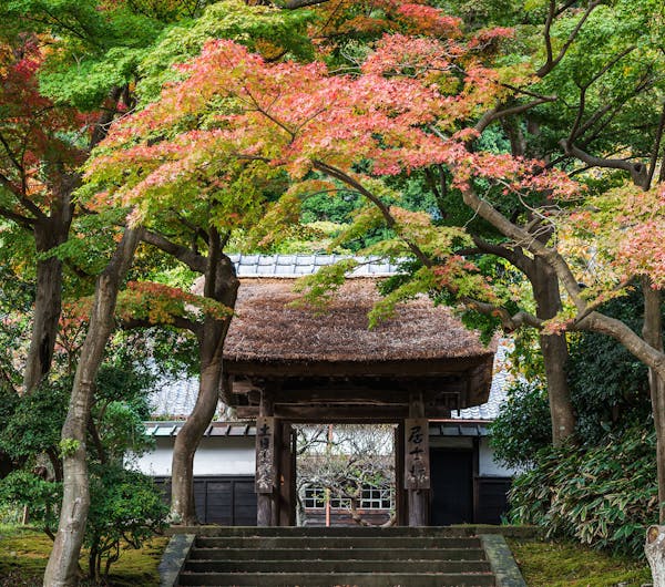 円覚寺 神奈川 鎌倉 人気紅葉スポット 一休 Comレストラン 円覚寺 神奈川 鎌倉 人気紅葉スポット 一休 Comレストラン