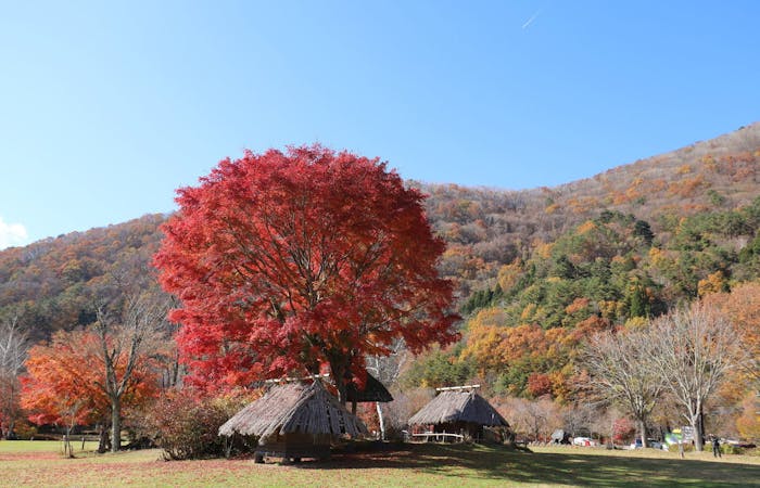 富士宮紅葉21 富士宮 秋の風物詩 紅葉を愉しむ 紅葉おすすめ人気スポット13選 一休 Comレストラン 富士宮紅葉21 富士宮 秋の風物詩 紅葉を愉しむ 紅葉おすすめ人気スポット13選 一休 Comレストラン