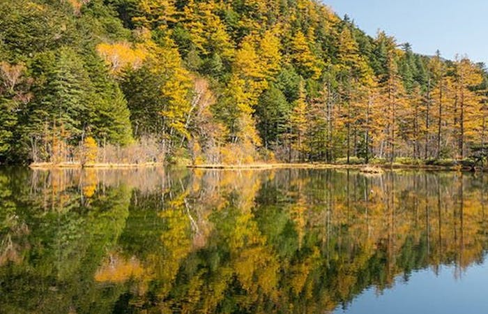 上高地紅葉21 上高地 秋の風物詩 紅葉を愉しむ 紅葉おすすめ人気スポット8選 一休 Comレストラン 上高地紅葉21 上高地 秋の風物詩 紅葉を愉しむ 紅葉おすすめ人気スポット8選 一休 Comレストラン