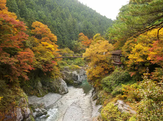 御岳渓谷 御岳渓谷遊歩道 東京 奥多摩 人気紅葉スポット 一休 Comレストラン 御岳渓谷 御岳渓谷遊歩道 東京 奥多摩 人気紅葉スポット 一休 Comレストラン