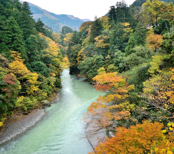 氷川渓谷 東京 奥多摩 人気紅葉スポット 一休 Comレストラン 氷川渓谷 東京 奥多摩 人気紅葉スポット 一休 Comレストラン