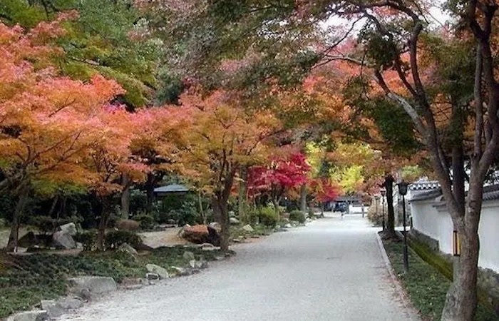 21年 岩国観光で行きたい名所 岩国旅行おすすめ人気スポット10選 一休 Com 21年 岩国観光で行きたい名所 岩国旅行おすすめ人気スポット10選 一休 Com