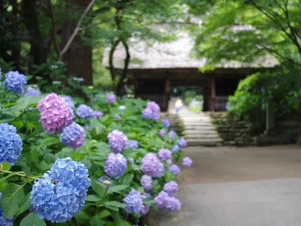 阿弥陀寺 山口 防府 人気スポット 一休 Com 阿弥陀寺 山口 防府 人気スポット 一休 Com