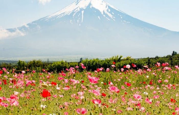 21年 山中湖観光で行きたい名所 山中湖旅行おすすめ人気スポット30選 一休 Com 21年 山中湖観光で行きたい名所 山中湖旅行おすすめ人気スポット30選 一休 Com