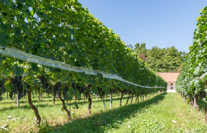 21年 安曇野 大町観光で行きたい名所 安曇野 大町旅行おすすめ人気スポット30選 一休 Com 21年 安曇野 大町観光で行きたい名所 安曇野 大町旅行おすすめ人気スポット30選 一休 Com