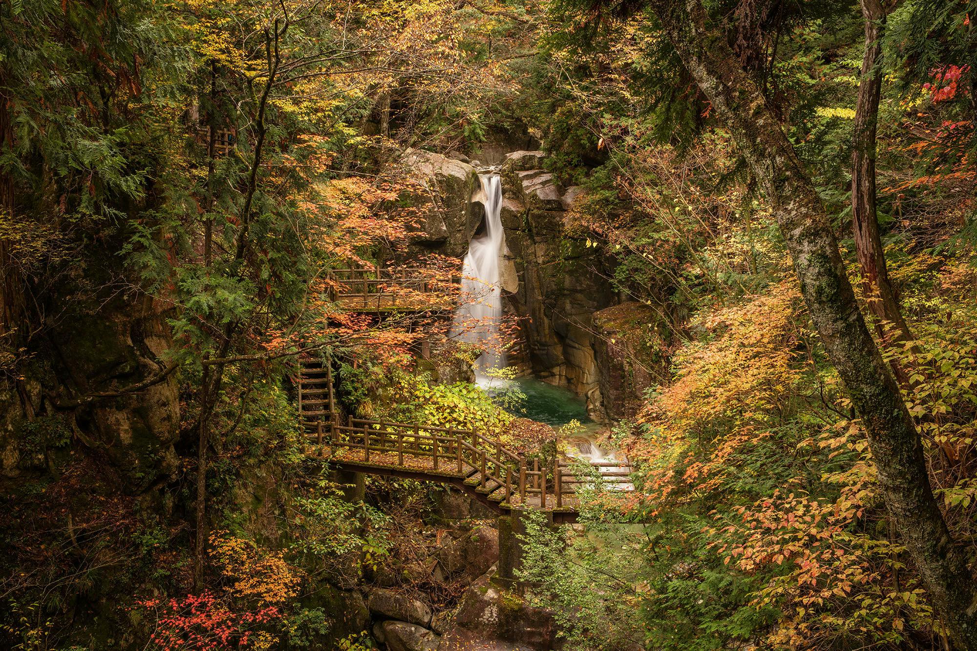 夕森公園 岐阜 中津川 人気スポット 一休 Com