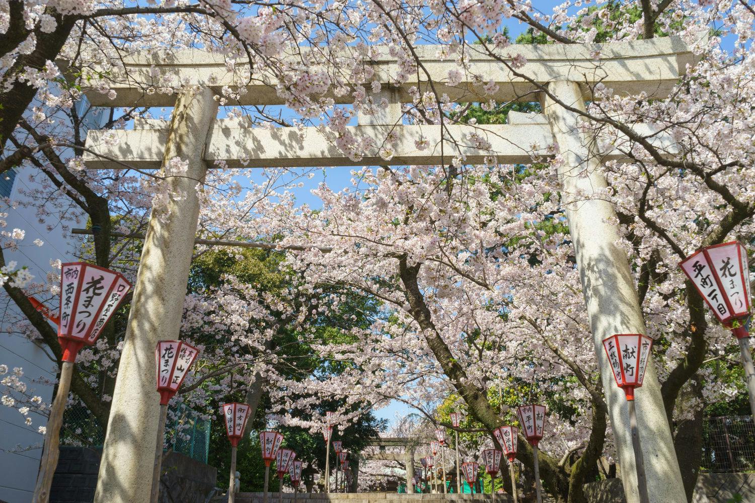 22年 沼津観光で行きたい名所 沼津旅行おすすめ人気スポット30選 一休 Com