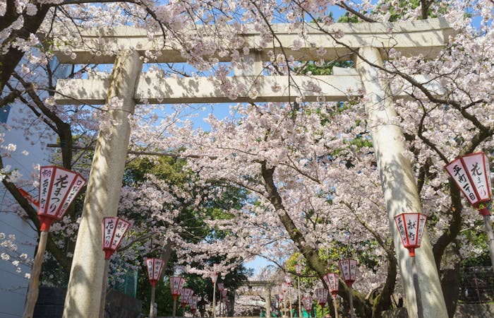 22年 沼津観光で行きたい名所 沼津旅行おすすめ人気スポット30選 一休 Com 22年 沼津観光で行きたい名所 沼津旅行おすすめ人気スポット30選 一休 Com