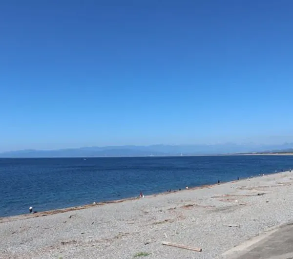 千本浜 静岡 沼津 人気スポット 一休 Com 千本浜 静岡 沼津 人気スポット 一休 Com