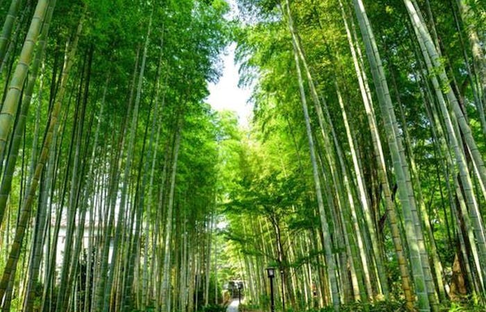 22年 中伊豆観光で行きたい名所 中伊豆旅行おすすめ人気スポット30選 一休 Com 22年 中伊豆観光で行きたい名所 中伊豆旅行おすすめ人気スポット30選 一休 Com