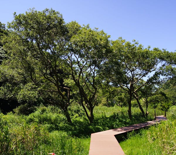 小網代の森 神奈川 三浦 人気スポット 一休 Com 小網代の森 神奈川 三浦 人気スポット 一休 Com