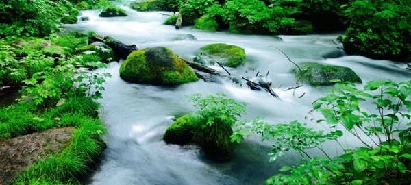 21年 八戸観光で行きたい名所 八戸旅行おすすめ人気スポット9選 一休 Com 21年 八戸観光で行きたい名所 八戸旅行おすすめ人気スポット9選 一休 Com