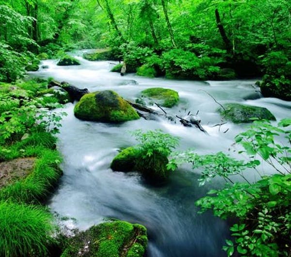 奥入瀬渓流 青森 十和田 人気スポット 一休 Com 奥入瀬渓流 青森 十和田 人気スポット 一休 Com