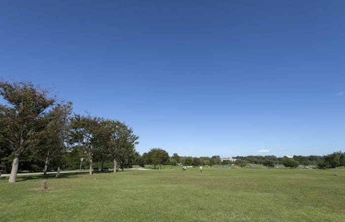 21年 府中観光で行きたい名所 府中旅行おすすめ人気スポット30選 一休 Com 21年 府中観光で行きたい名所 府中旅行おすすめ人気スポット30選 一休 Com