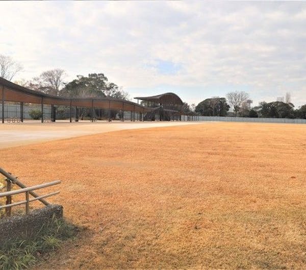 夢の島公園アーチェリー場 東京 新木場 人気スポット 一休 Com 夢の島公園アーチェリー場 東京 新木場 人気スポット 一休 Com