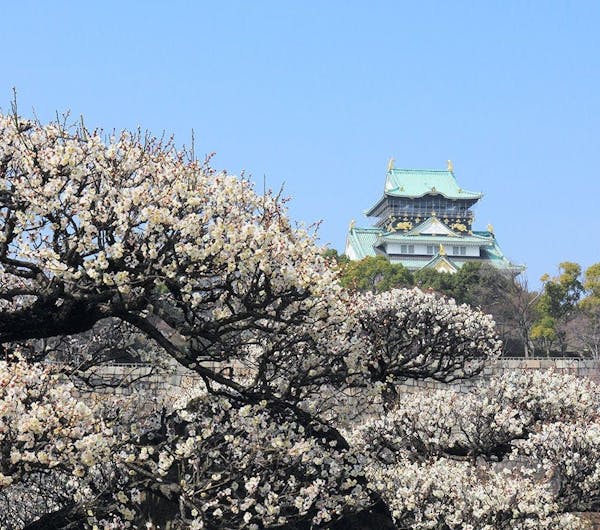 大阪城公園 大阪 大阪城公園周辺 人気スポット 一休 Com 大阪城公園 大阪 大阪城公園周辺 人気スポット 一休 Com