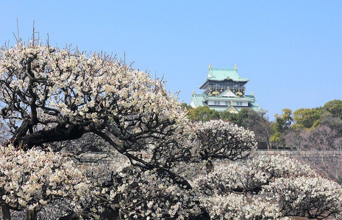 22年 大阪城公園周辺観光で行きたい名所 大阪城公園周辺旅行おすすめ人気スポット30選 一休 Com 22年 大阪城公園周辺観光で行きたい名所 大阪城公園周辺旅行おすすめ人気スポット30選 一休 Com