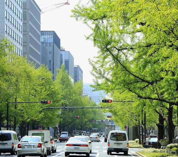 御堂筋 大阪 心斎橋 人気スポット 一休 Com 御堂筋 大阪 心斎橋 人気スポット 一休 Com