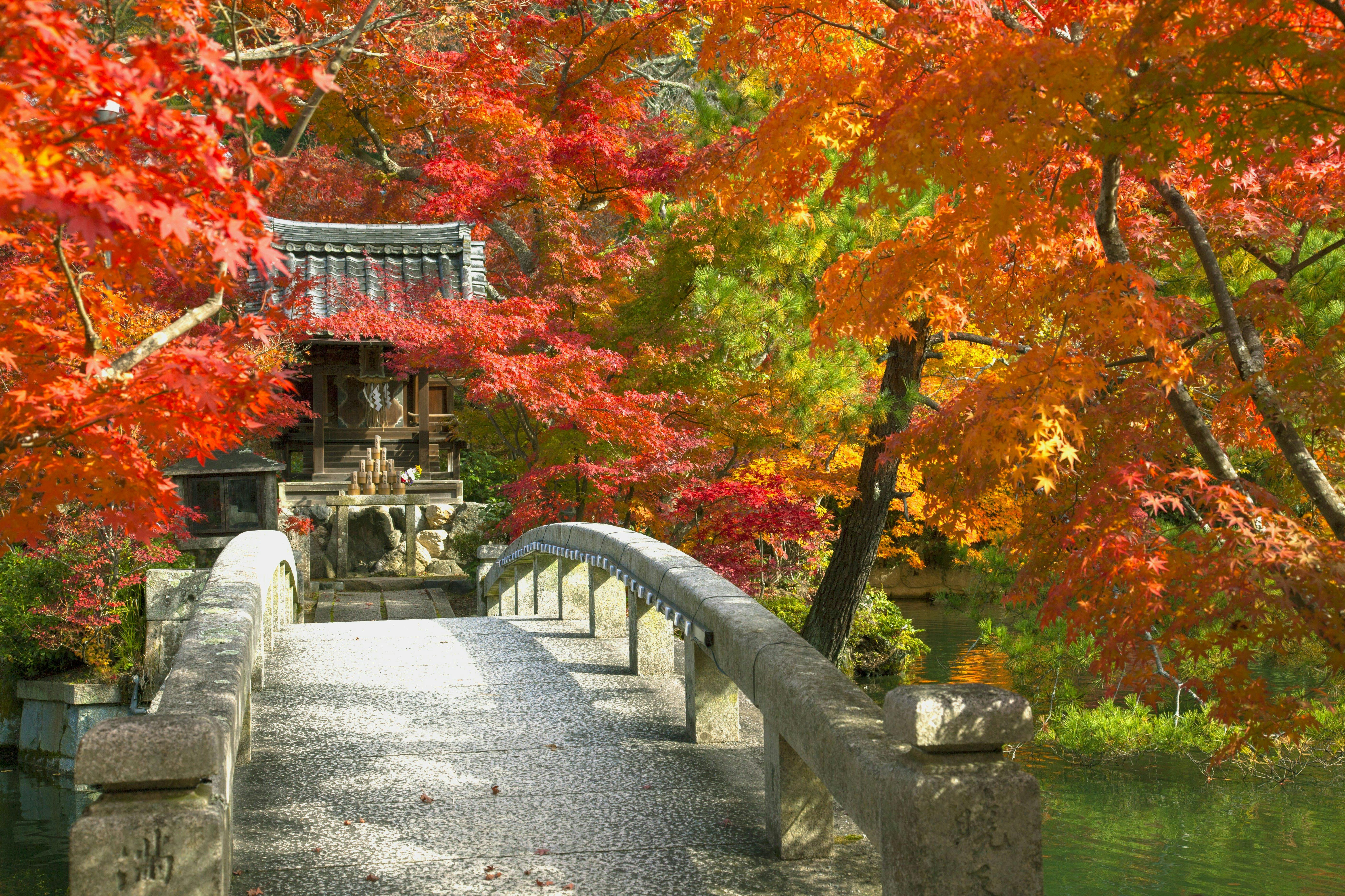 禅林寺 永観堂 京都 蹴上 人気スポット 一休 Com