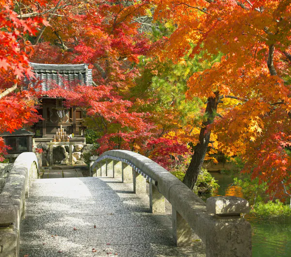 禅林寺 永観堂 京都 蹴上 人気スポット 一休 Com 禅林寺 永観堂 京都 蹴上 人気スポット 一休 Com