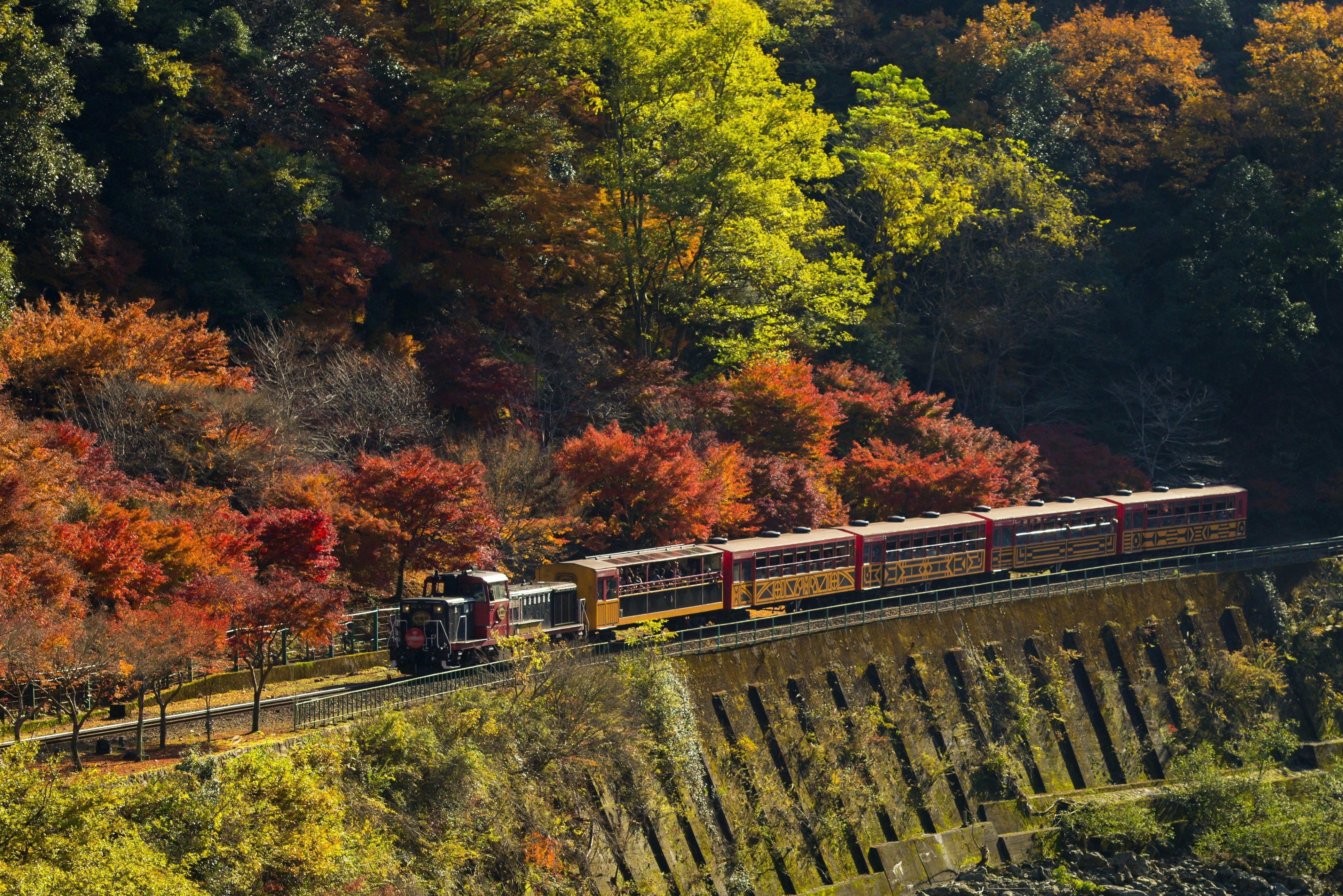 嵯峨野トロッコ列車 京都 嵐山 人気スポット 一休 Com