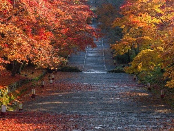 二尊院 京都 嵐山 人気スポット 一休 Com