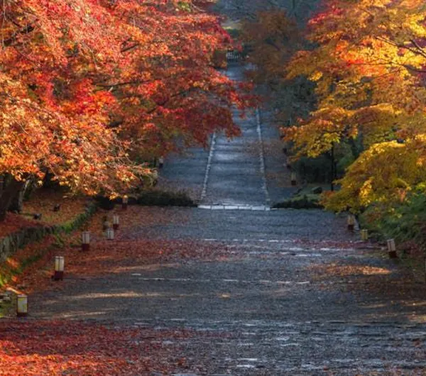 二尊院 京都 嵐山 人気スポット 一休 Com 二尊院 京都 嵐山 人気スポット 一休 Com