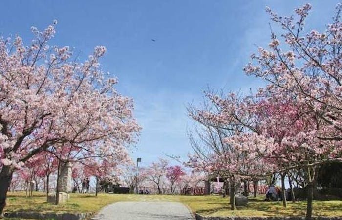 21年 淡路島観光で行きたい名所 淡路島旅行おすすめ人気スポット30選 一休 Com 21年 淡路島観光で行きたい名所 淡路島旅行おすすめ人気スポット30選 一休 Com