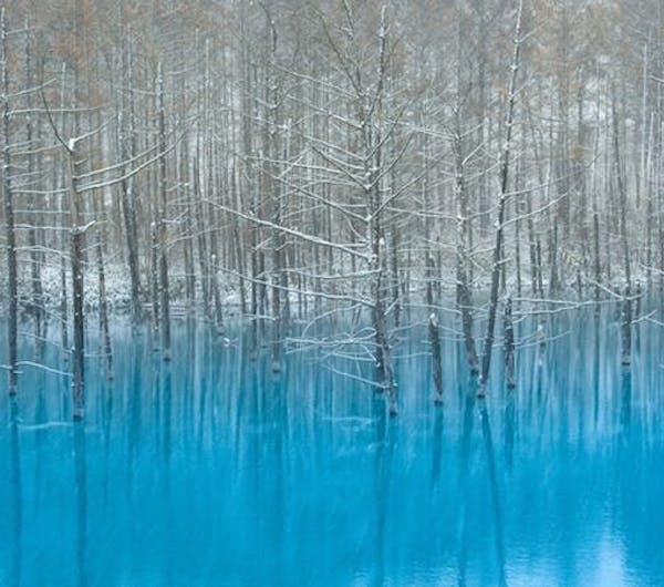 青い池 北海道 富良野 美瑛 トマム 人気スポット 一休 Com 青い池 北海道 富良野 美瑛 トマム 人気スポット 一休 Com