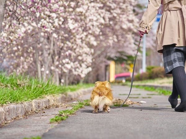 22年 糸島観光で行きたい名所 糸島旅行おすすめ人気スポット30選 一休 Com