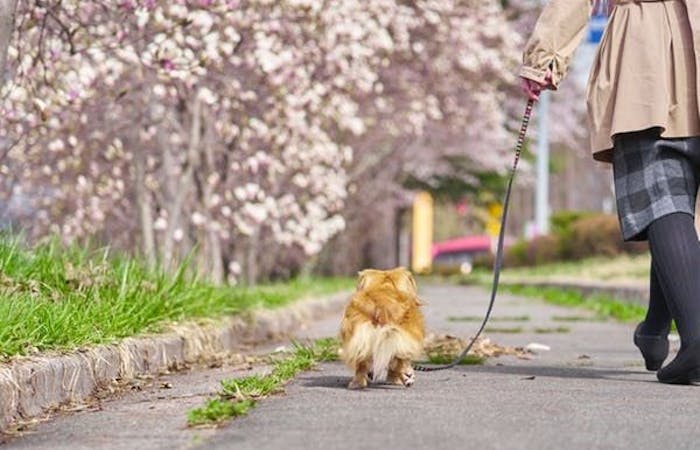 22年 糸島観光で行きたい名所 糸島旅行おすすめ人気スポット30選 一休 Com 22年 糸島観光で行きたい名所 糸島旅行おすすめ人気スポット30選 一休 Com