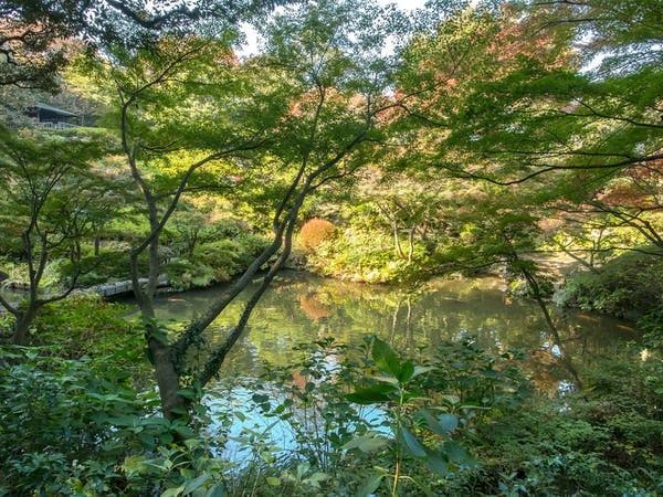 22年 品川観光で行きたい名所 品川旅行おすすめ人気スポット30選 一休 Com