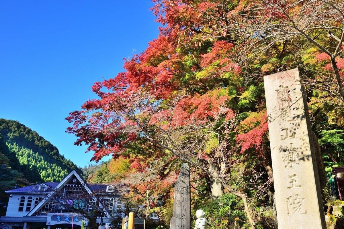 21年 八王子デートで行きたい名所 八王子デートおすすめ人気スポット30選 一休 Comレストラン