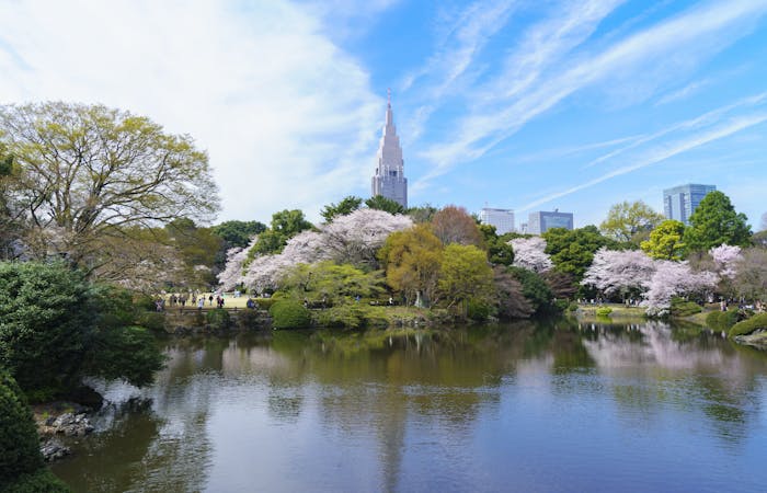21年 新宿デートで行きたい名所 新宿デートおすすめ人気スポット30選 一休 Comレストラン 21年 新宿デートで行きたい名所 新宿デートおすすめ人気スポット30選 一休 Comレストラン