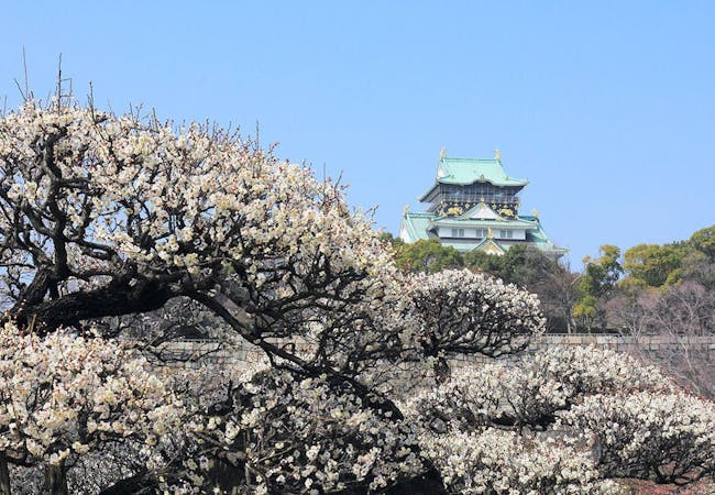 2020年 大阪デートで行きたい名所 大阪デートおすすめ人気スポット30選 一休 Comレストラン