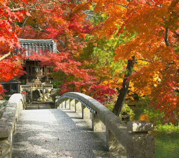 禅林寺 永観堂 京都 蹴上 人気デートスポット 一休 Comレストラン 禅林寺 永観堂 京都 蹴上 人気デートスポット 一休 Comレストラン