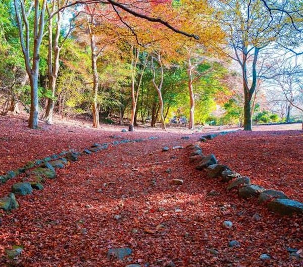 嵐山公園 京都 嵐山 人気デートスポット 一休 Comレストラン