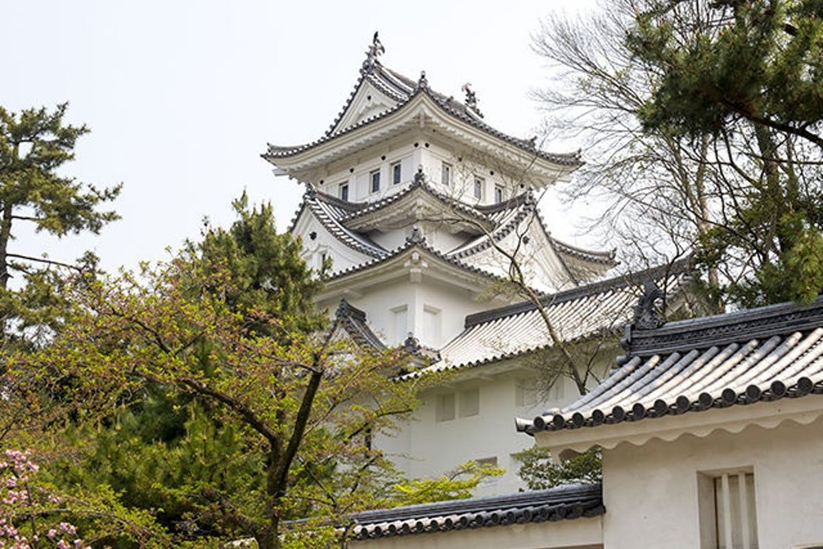 大垣城 岐阜 岐阜 大垣 養老 人気デートスポット 一休 Comレストラン