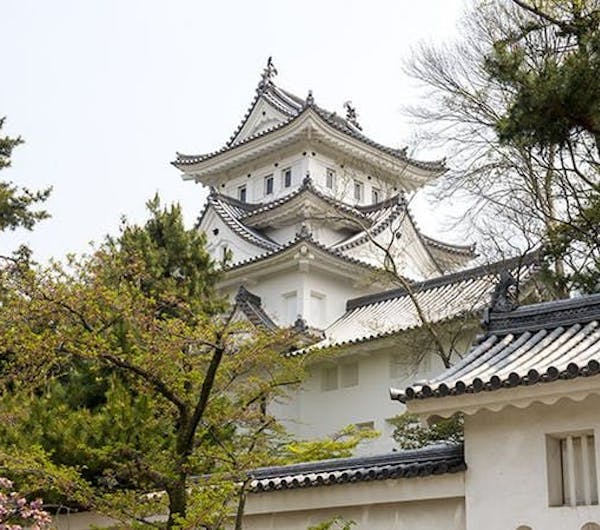 大垣城 岐阜 岐阜 大垣 養老 人気デートスポット 一休 Comレストラン 大垣城 岐阜 岐阜 大垣 養老 人気デートスポット 一休 Comレストラン