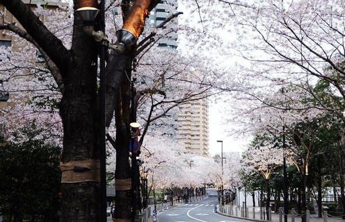 21年 虎ノ門デートで行きたい名所 虎ノ門デートおすすめ人気スポット30選 一休 Comレストラン 21年 虎ノ門デートで行きたい名所 虎ノ門デートおすすめ人気スポット30選 一休 Comレストラン