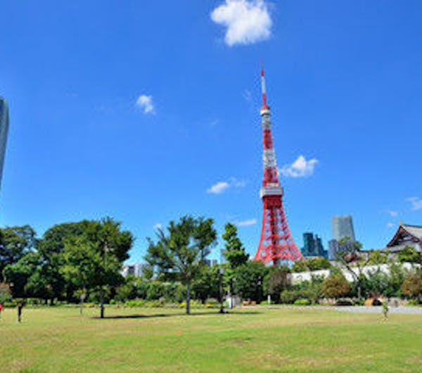 芝公園 東京 芝公園 人気デートスポット 一休 Comレストラン 芝公園 東京 芝公園 人気デートスポット 一休 Comレストラン