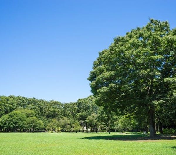砧公園 東京 二子玉川 人気デートスポット 一休 Comレストラン