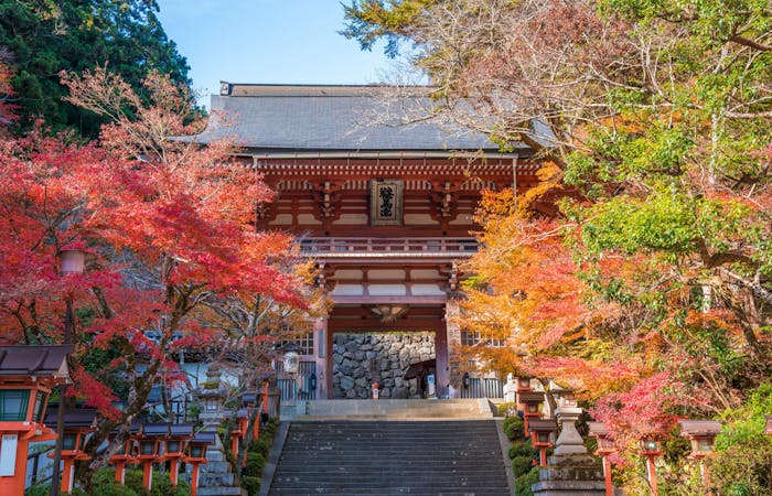 鞍馬紅葉 鞍馬 秋の風物詩 紅葉を愉しむ 紅葉おすすめ人気スポット30選 一休 Comレストラン
