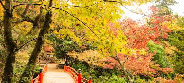 出雲紅葉21 出雲 秋の風物詩 紅葉を愉しむ 紅葉おすすめ人気スポット3選 一休 Comレストラン 出雲紅葉21 出雲 秋の風物詩 紅葉を愉しむ 紅葉おすすめ人気スポット3選 一休 Comレストラン