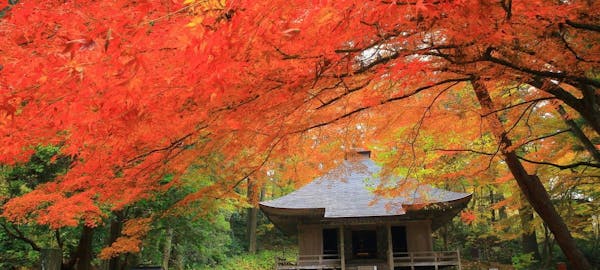 田沢湖紅葉21 田沢湖 秋の風物詩 紅葉を愉しむ 紅葉おすすめ人気スポット3選 一休 Comレストラン 田沢湖紅葉21 田沢湖 秋の風物詩 紅葉を愉しむ 紅葉おすすめ人気スポット3選 一休 Comレストラン