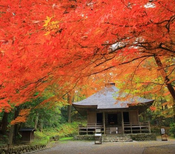 中尊寺 岩手 奥州 平泉 一関 人気紅葉スポット 一休 Comレストラン 中尊寺 岩手 奥州 平泉 一関 人気紅葉スポット 一休 Comレストラン