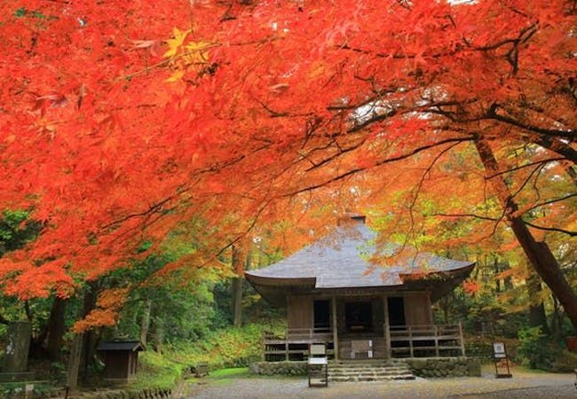 岩手紅葉 岩手 秋の風物詩 紅葉を愉しむ 紅葉おすすめ人気スポット9選 一休 Comレストラン