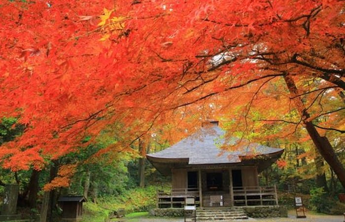 北上市紅葉21 北上市 秋の風物詩 紅葉を愉しむ 紅葉おすすめ人気スポット4選 一休 Comレストラン 北上市紅葉21 北上市 秋の風物詩 紅葉を愉しむ 紅葉おすすめ人気スポット4選 一休 Comレストラン