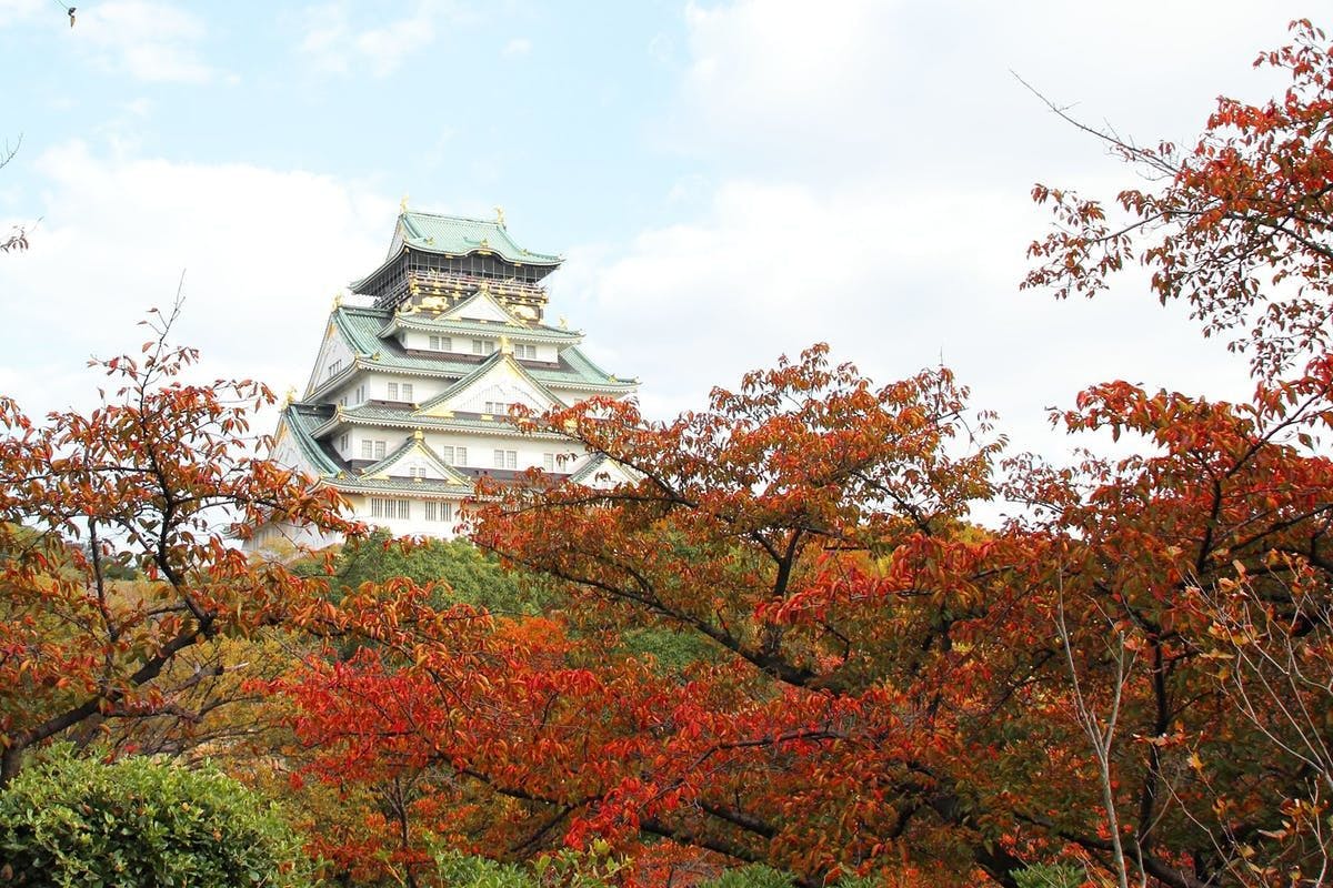 大阪城公園 | 大阪 大阪城公園周辺 人気紅葉スポット - [一休.comレストラン]